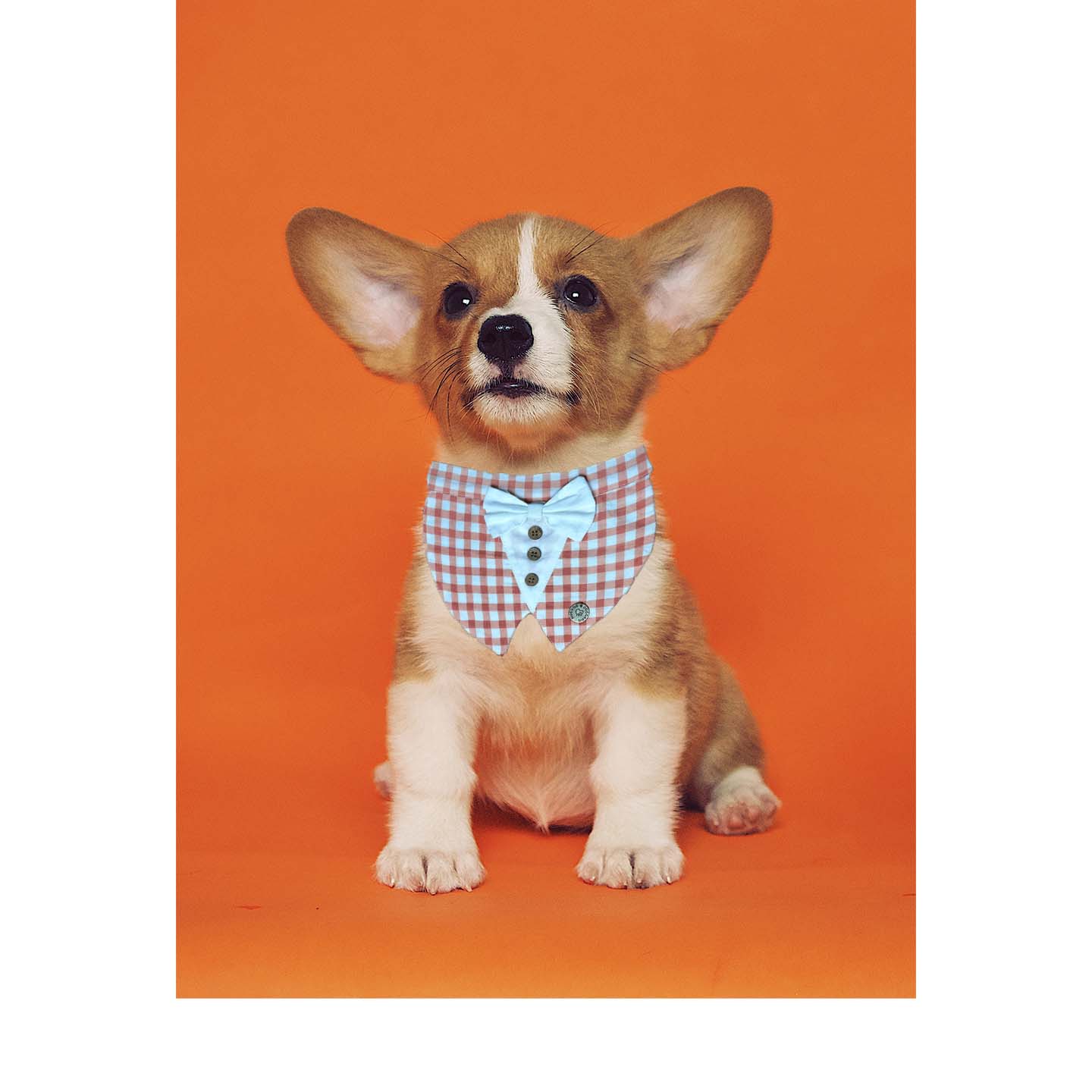 NUEVOS DOGGADIL Check Pattern Pet Bandana | Pet Round Bib| Pet Scarf_ Rust/White