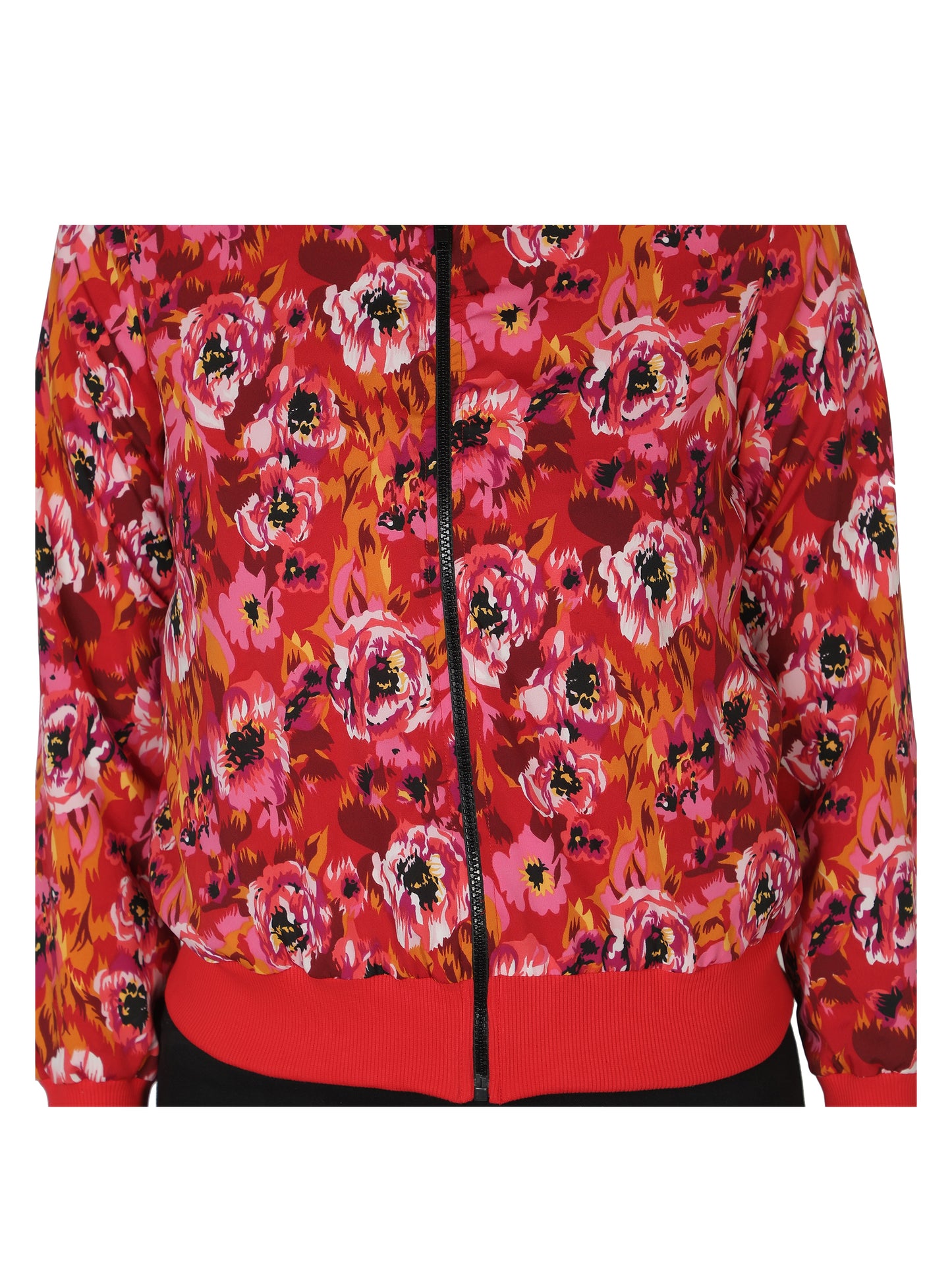 Full Sleeve Floral Print Women Bomber Jacket freeshipping - NUEVOSDAMAS