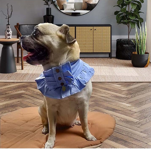 NUEVOS DOGGADIL Cotton Jersey Frilled Pet Bandana | Frill Bib for Dog and Cat| Pet Neck Scarf_ Blue