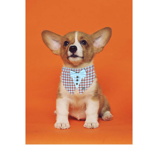 NUEVOS DOGGADIL Check Pattern Pet Bandana | Pet Round Bib| Pet Scarf_ Rust/White