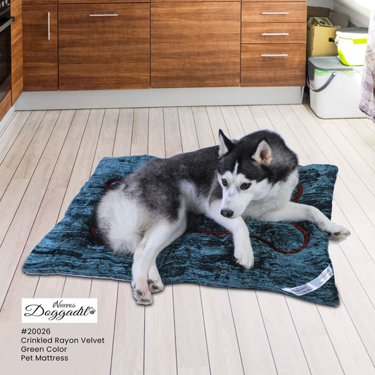 NUEVOS DOGGADIL Velvet Flat Pet Bed | Washable Padded Pet Bed| Light Weighted Dog Bolster Mat Green